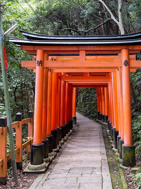 Japan, the temples of Kyoto